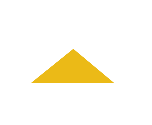 CAT Financial logo